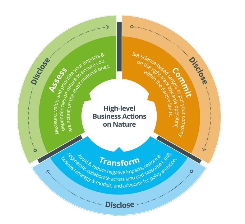 high-level business actions on nature (act-d framework), business for nature